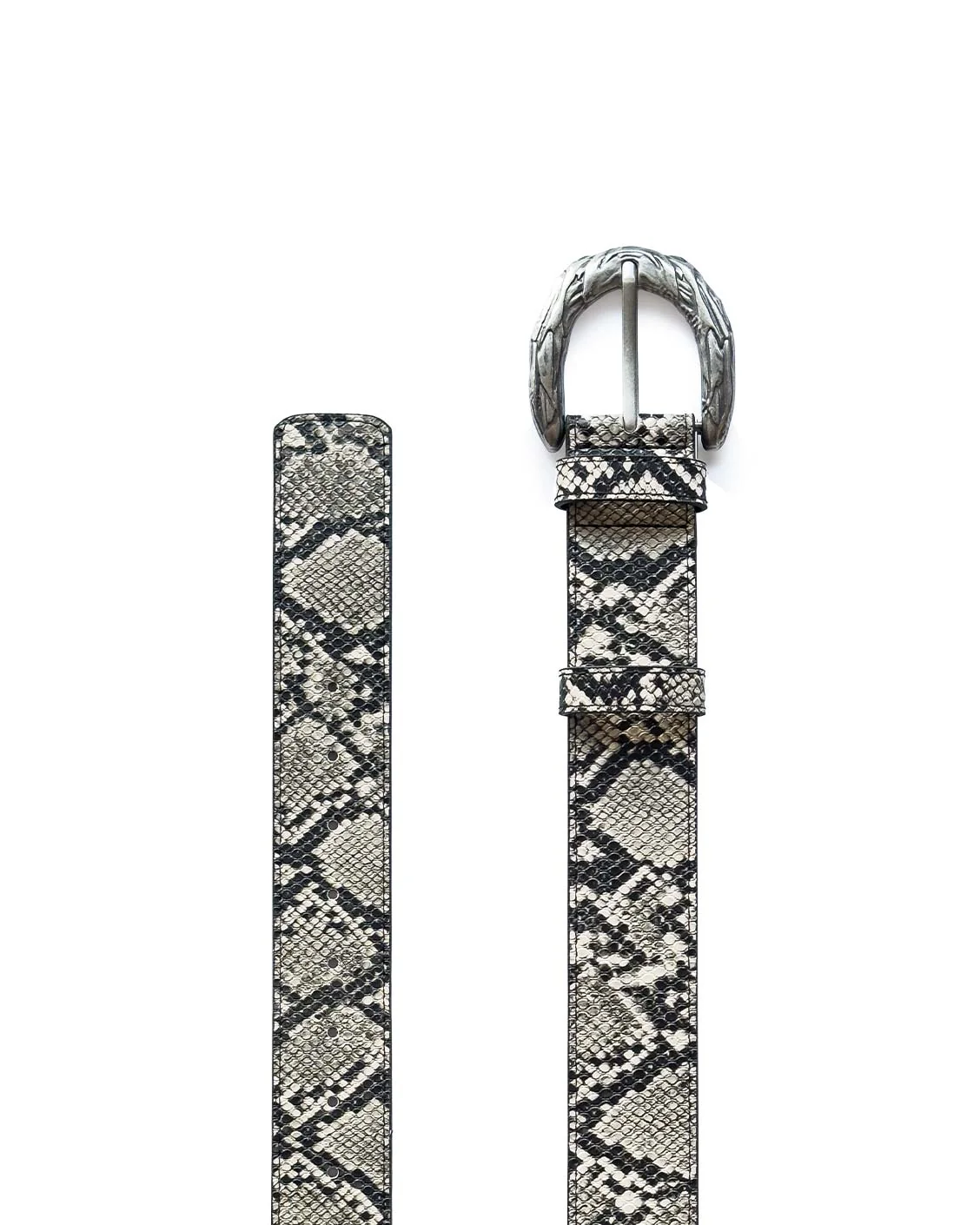 Imperial Belt Python - Image 3