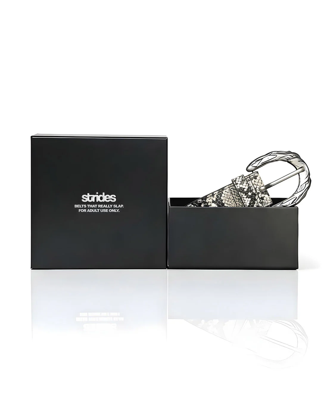 Imperial Belt Python - Image 4